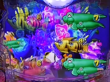 BIG珊瑚礁